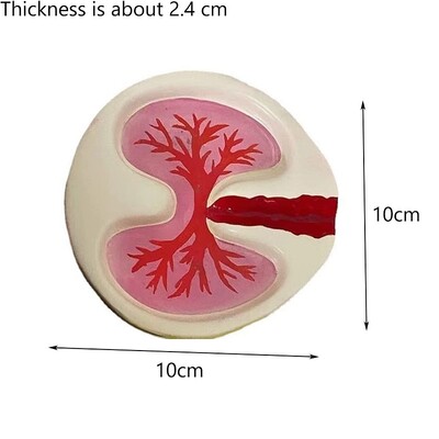 Rožinės plaučių peleninės derva Juokingi šaunūs staliniai cigaretės rūkomieji cigarų peleninė namų rūkaliai Pelenų padėklo laikiklis Kūrybingi peleninės padėklas