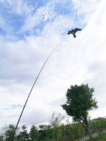 Bird Scarer-Lifelike Flying Hawk Kite Anti Bird Eagle Scarecrow Decoy for Crops Farm Garden Yard Pest Bird Repeller