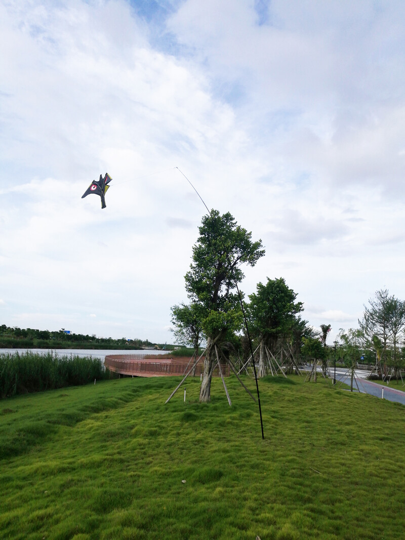 Paukščių gąsdinimo priemonė - gyvas skraidantis vanago aitvaras nuo paukščių erelio kaliausės masalas pasėliams Ūkio sodo kiemo kenkėjų paukščių atbaidiklis