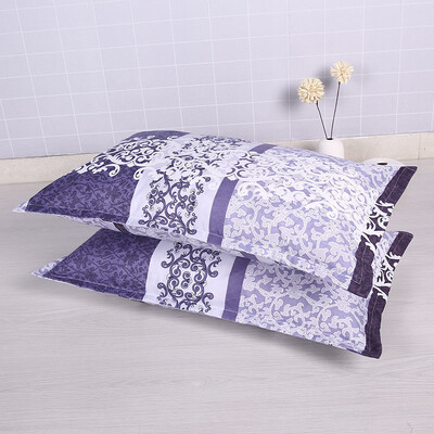 2021 2 τμχ μαξιλαροθήκη ενηλίκων χοντρή μαξιλαροθήκη μεταξωτή μαξιλαροθήκη anime μαξιλαροθήκη μαξιλαροθήκη διακόσμηση σπιτιού king size μαξιλαροθήκη