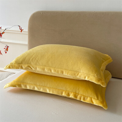 Vienspalvis pagalvių užvalkalas Velvet Pillowslip funda almohada 48x74cm pagalvės užvalkalas stačiakampis pagalvės užvalkalas 2vnt šilti pagalvių užvalkalai