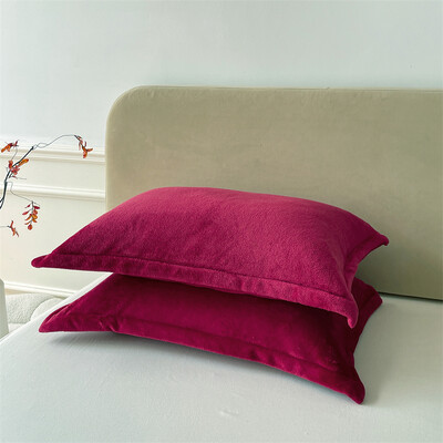 Vienspalvis pagalvių užvalkalas Velvet Pillowslip funda almohada 48x74cm pagalvės užvalkalas stačiakampis pagalvės užvalkalas 2vnt šilti pagalvių užvalkalai