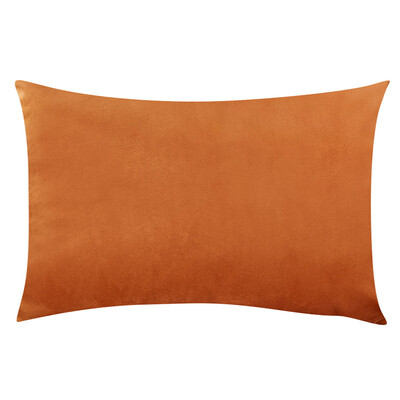 Pagalvėlės užvalkalas 50x70cm aksominis dekoratyvinis pagalvės užvalkalas svetainei Funda Cojin40x60cm Nordic Home Decoration Housse De Coussin