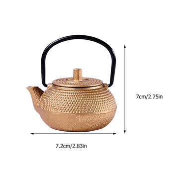 Τσαγιέρα Teapot Iron Cast Pot Japanese Mini Infuser Water Tetsubin Pots Loose Sove Metal Stovetop Teapots κινέζικα