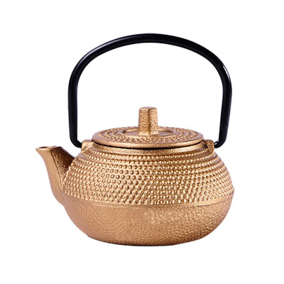 Teekann Teekann Raud Valupott Jaapani Mini Infuser Vesi Tetsubin Potid Lahtine pliit Metall Pliit Teekannud Hiina