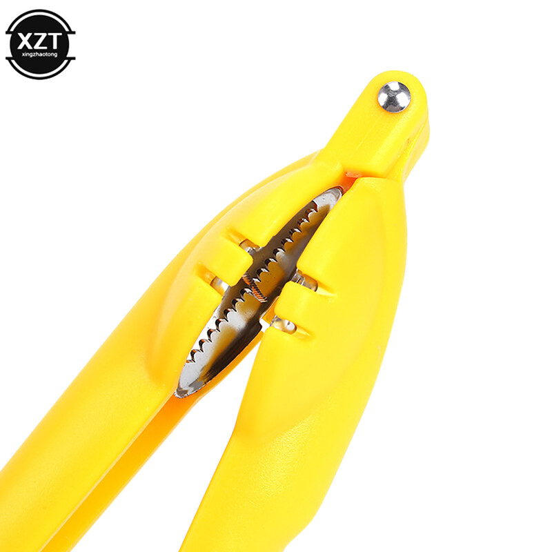 2 viename nerūdijančio plieno kaštonų pjaustyklė Greiti riešutai traškantys kaštonų spaustukai graikinių riešutų replės riešutų atidarytuvai pjaustyti virtuvės priedai