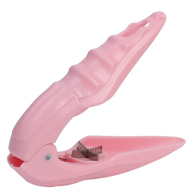 Kaštonų gnybtų atidarytuvas dantytas vidinis peilis 304 nerūdijantis plienas graikinis riešutas pekano filbertas Makadamija pistacijų riešutų skeltuvas pjaustyklės virtuvė