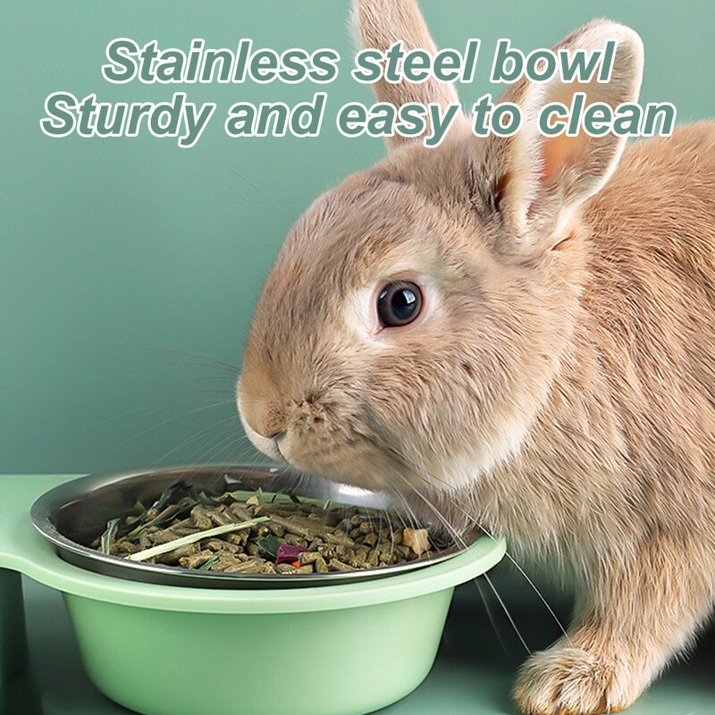 Naminio gyvūno triušio šinšilos jūrų kiaulytės maisto dubuo Automatinis tiektuvas „Viskas viename“ Sujungiamas maisto dubuo, gėrimo fontanas, pakeltas stovimas indas