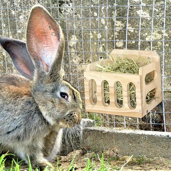 Rabbit Hay Feeder Guinea Rack Bunny Chinchilla Wooden Holder Animal Cage Wood Manger Feeding Wood Bowl for Pet Supplies