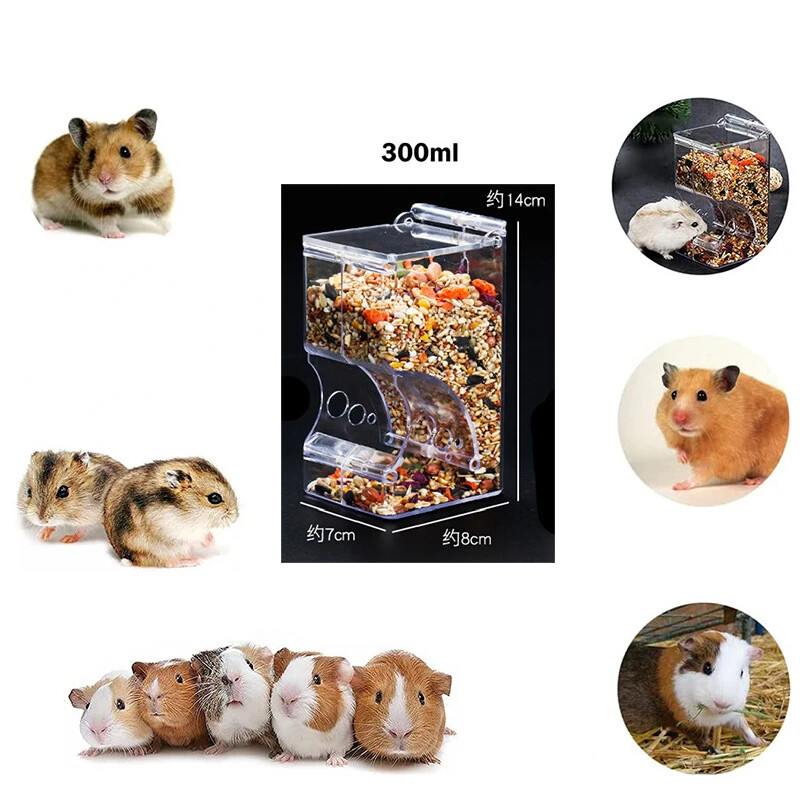 Žiurkėno triušio maisto dalytuvas - plastikinis skaidrus automatinis naminių gyvūnėlių tiektuvas, skirtas žiurkėnų jūrų kiaulytėms maisto dubenėliui