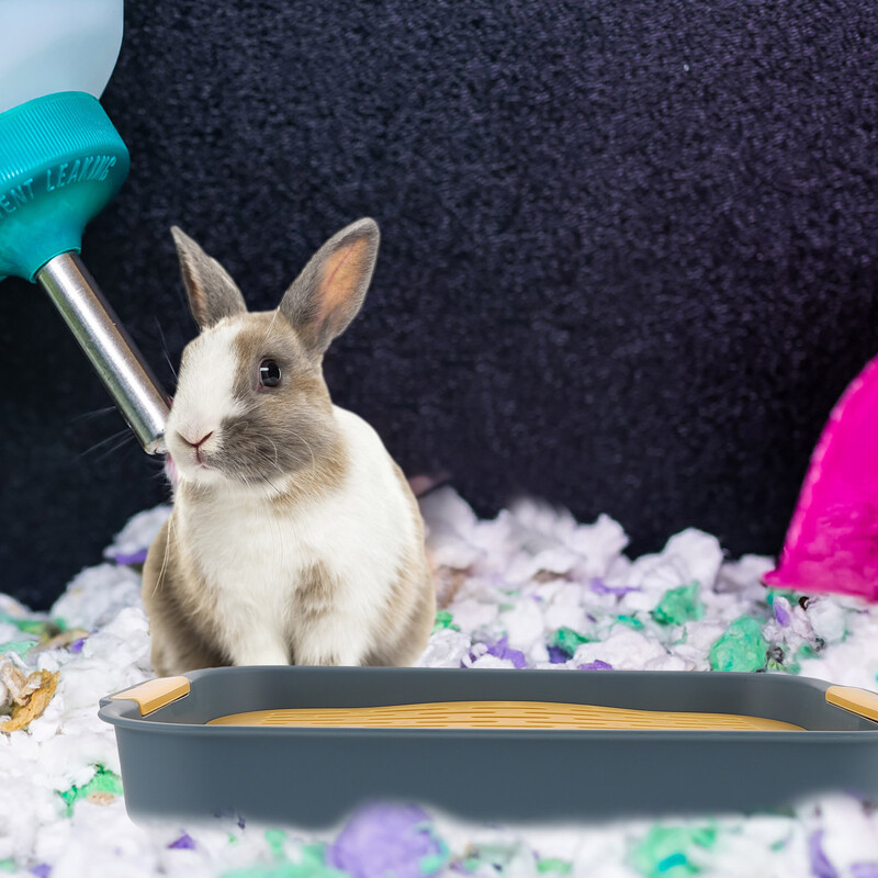 Trušu tvertnes Plastmasas lolojumdzīvnieku tualete Maza mājdzīvnieka būra piegāde Trušu tualetes apmācības kaste