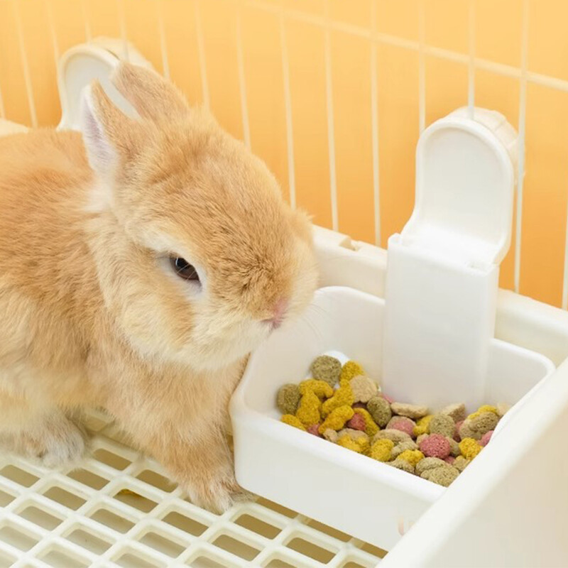 Triušių lesyklėlė Triušių ėdalo dozatorius Reguliuojamas nusidėvėjimui atsparus naminių gyvūnėlių tiektuvas, apsaugantis nuo apvirtimo triušių tiektuvas kačiukui