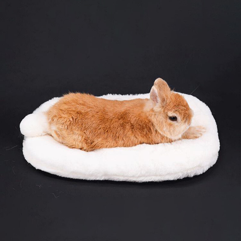 Trušu plīša paliktnis Mazs mājdzīvnieka ligzdas atpūtas sega Būris Paklājiņš Zaķa spilvenu māja Mājdzīvnieks mīksts, silts miega aizsargs Dzīvnieku aksesuāri