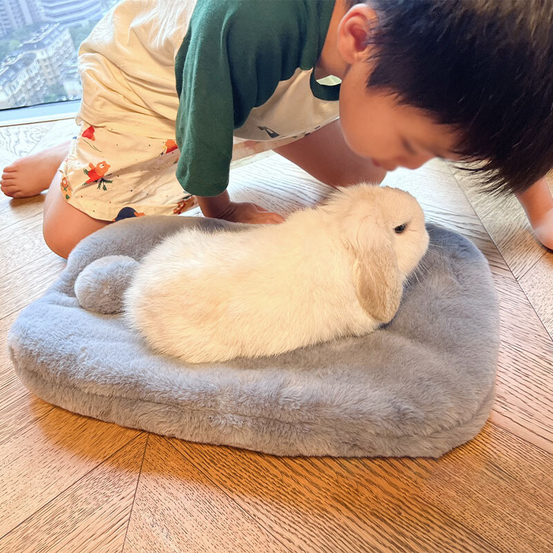 Trušu plīša paliktnis Mazs mājdzīvnieka ligzdas atpūtas sega Būris Paklājiņš Zaķa spilvenu māja Mājdzīvnieks mīksts, silts miega aizsargs Dzīvnieku aksesuāri