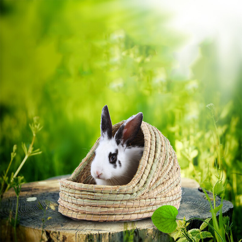 Küülikupesa Väikeloomade peidupaik õlgedest punutud rohupeenar Kääbushamstri maja jänkupuurid Süüria onn peidab suvehiire