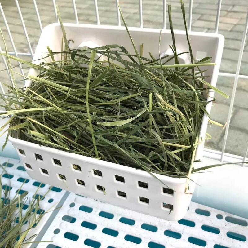 Noņemams zāles grozs Kāmja bļoda Plastmasas piekarināmais barotavas piesūceknis, fiksēts maziem dzīvniekiem jūrascūciņām zaķiem trušiem