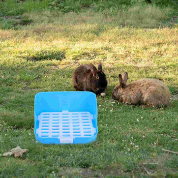 Εκπαιδευτής κλουβιού τουαλέτας Rabbit Potty για Δίσκος απορριμμάτων κατοικίδιων Κάδος απορριμμάτων Κοιλιακοί χάμστερ