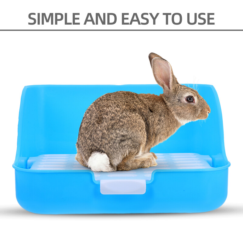 Miskaste Vannas istaba Trusis Podiņš Tualete Zaķa Būris Mājdzīvnieku apmācība Pakaišu paplāte Abs Izkārnījumi Kāmis