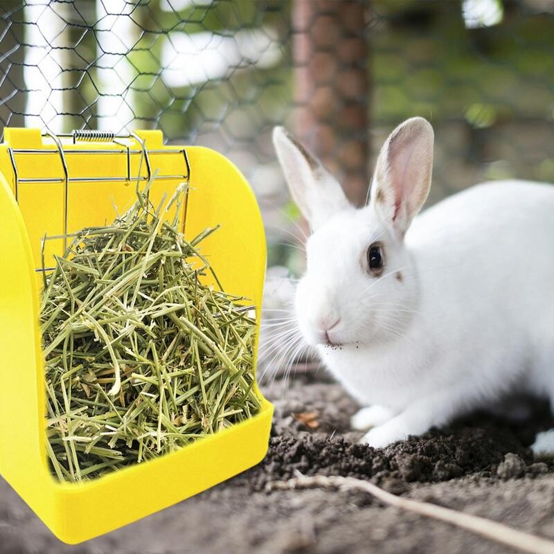 Triušio šieno tiektuvas žolės laikiklis zuikiui šieno laikiklis Maisto šėrimo lentynas zuikiui šieno laikiklis naminių gyvūnėlių savarankiško maitinimosi dozatorius smulkiems gyvūnams