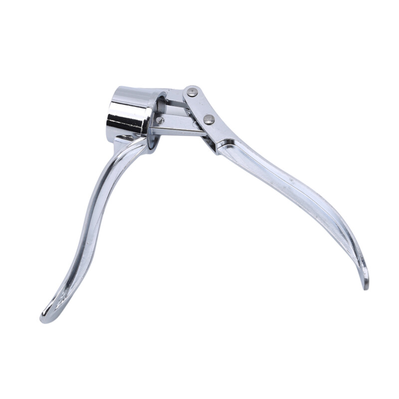 Virtuvės prietaisai nerūdijančio plieno česnako presas rankinis lupimas česnako presas sutrintas česnakas Įrankiai išspausti česnako skiedinį česnako spaustukas