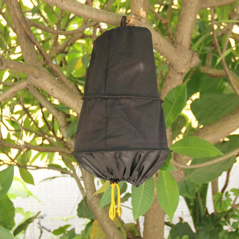 3 sloja kaveza za pčele Bees Wild Recruit pčelarski alat Kutija za hvatanje divljih pčela Oprema za pčelarstvo Vrtni pribor Alati za pčelarstvo