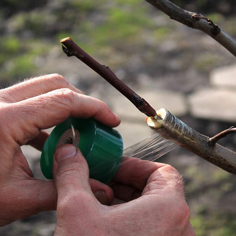 Ролна лента Присаждане Парафилм Резитба Силна присадка Пъпкуваща бариера Флористична ножица Растение Плодно дърво Разсадник Влага Градински инструмент