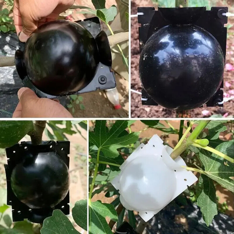 5 vnt (5 cm) Augalų šaknų kamuoliukas Skiepijimas Įsišaknijęs auginimo dėžė Veisimo dėklas Augalų šaknų auginimo dėžutė sodui 5/8 cm skersmens.