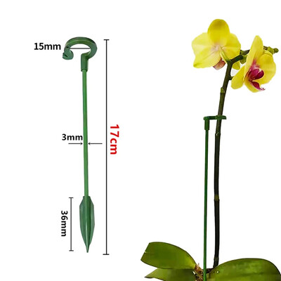 5/10 DB Növénytámogatás Fix karók Kerti pozsgások Egy szárú virág Phalaenopsis Orchidea Dedikált támasztó karók Újrafelhasználható