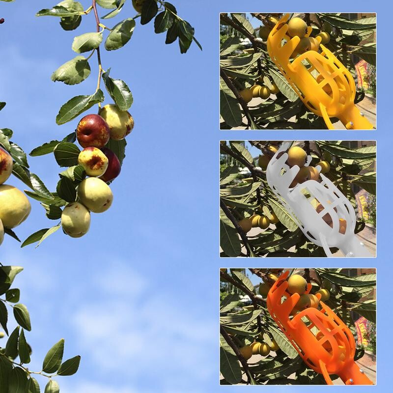 Градинска кошница Глава за събиране на плодове Инструмент за събиране на плодове Цветен инструмент за грабване на плодове Берач на боровинки Лъжица за ябълка, нар, портокал