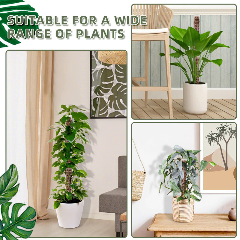 Растения Пръчка за катерене Стълб за растения Сфагнум Опора за растения Решетка Рамка Колона от воден мъх Стълб за саксийни цветя Лози за катерене