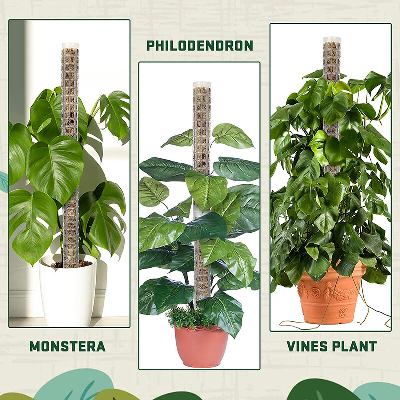 Растения Пръчка за катерене Стълб за растения Сфагнум Опора за растения Решетка Рамка Колона от воден мъх Стълб за саксийни цветя Лози за катерене