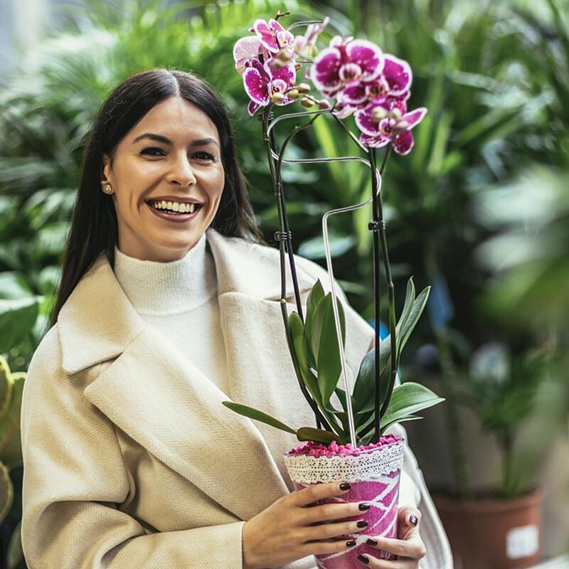 Клетки и опори за божури Подпорни колове за растения Поддържащи пръстени за клетки за растения за домати Подпорни колове за растения за увивни растения