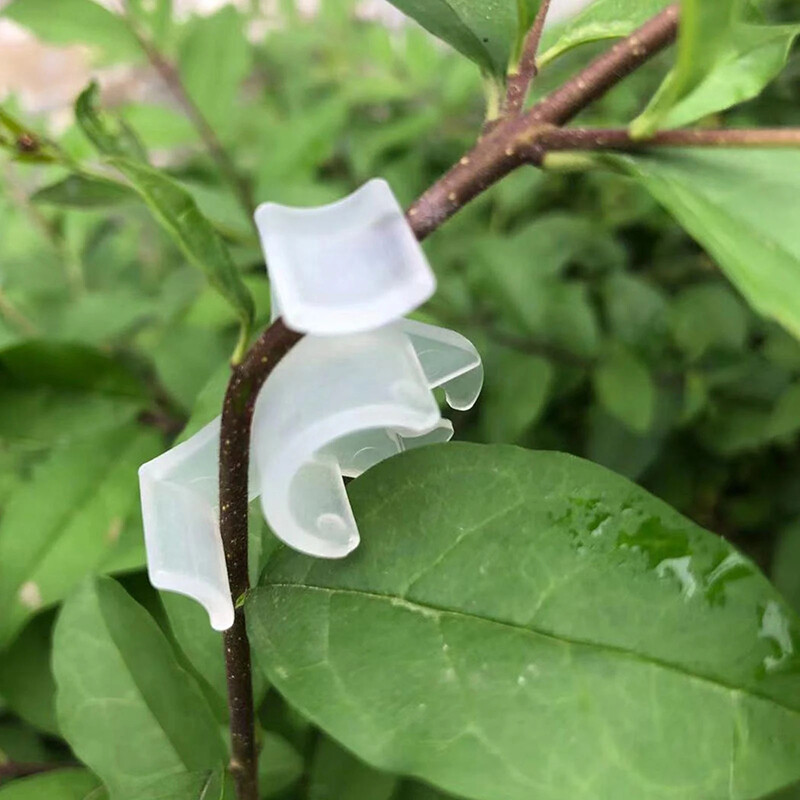 10 бр. Пластмасови растителни лози Извиващи се оформители Усукани дървесни клони Щипки за отглеждане Огъвачи Оформяне на бонсай Извит лакът Градински инструменти