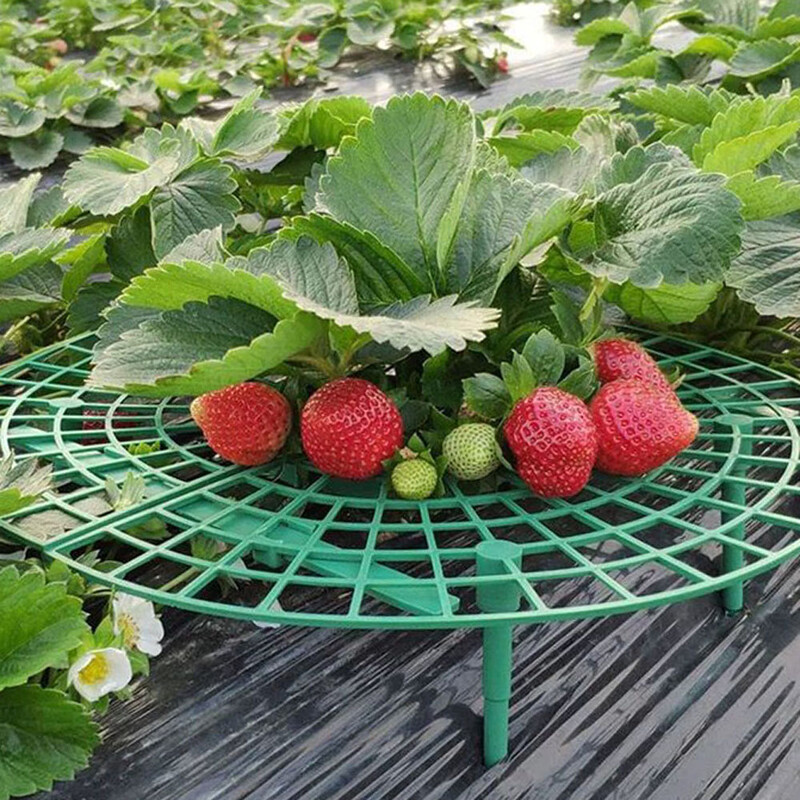 Стойка за ягоди Рамка Държач Балкон Поставка за засаждане Плодова опора Растение Цвете Катерене Лозов стълб Градинарска стойка