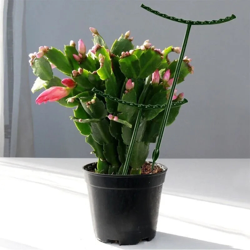 Plastikinis augalų atraminis polių stovas gėlėms šiltnamio efektą sukeliančių strypų laikiklis Sodo augalas sodo bonsai įrankis mažas / didelis dydis