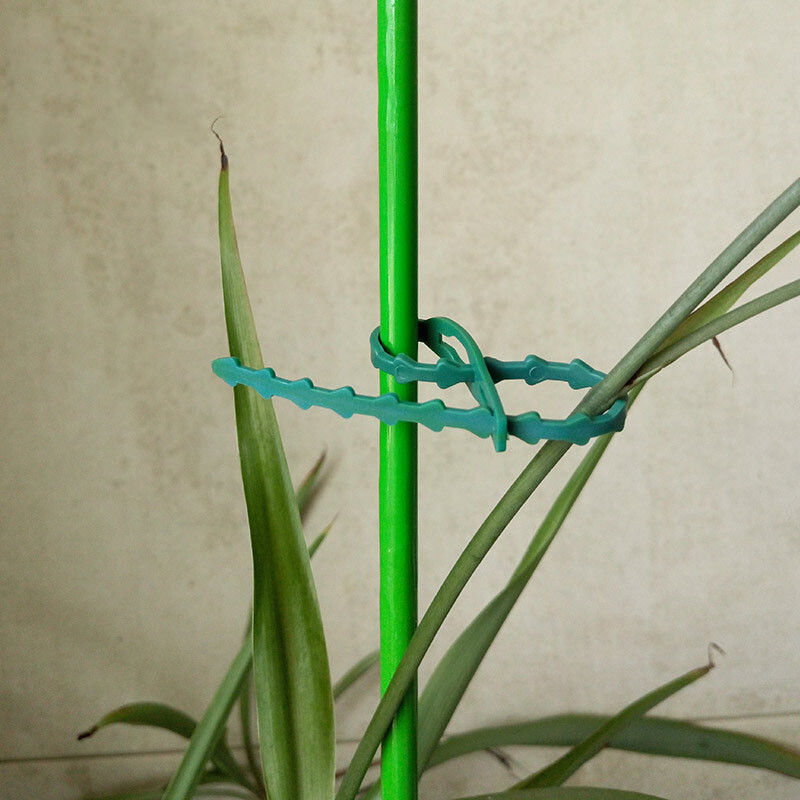 25/50/100 kom Višekratne vezice za vrtne kabele Podesive plastične vezice za kabele Alati Potpora za biljke Grmlje Spojnica za zaključavanje stabla Najlon