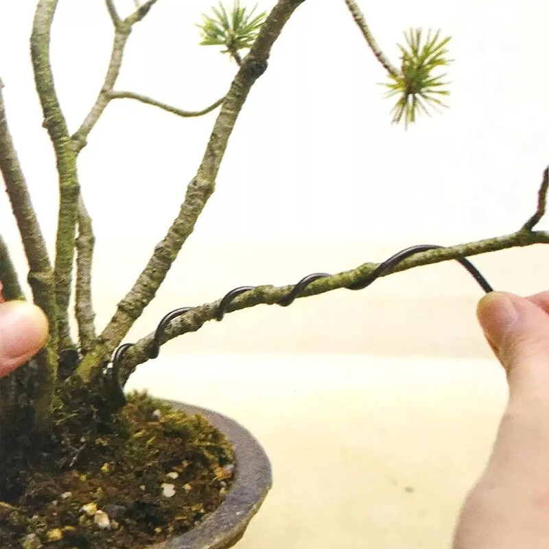 1/2/3 мм тел за бонсай 5 м проводници за обучение на дървета Алуминиеви проводници Тел за обучение на растения Черна градинска тел за оформяне на вътрешно бонсай дърво