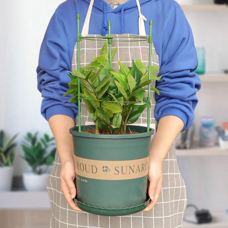 Augalų pagaliukai 10 vnt. Augalų pagaliukai su 20 m raiščiais Augalų stiebo atraminiai pagaliukai, skirti išlaikyti augalus Sodo augalų atrama