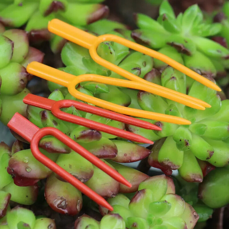 100PCS фиксатор за стебла на растения, вилица за засаждане на градински ягоди, фиксатор за диня, скоба, скоба за растения
