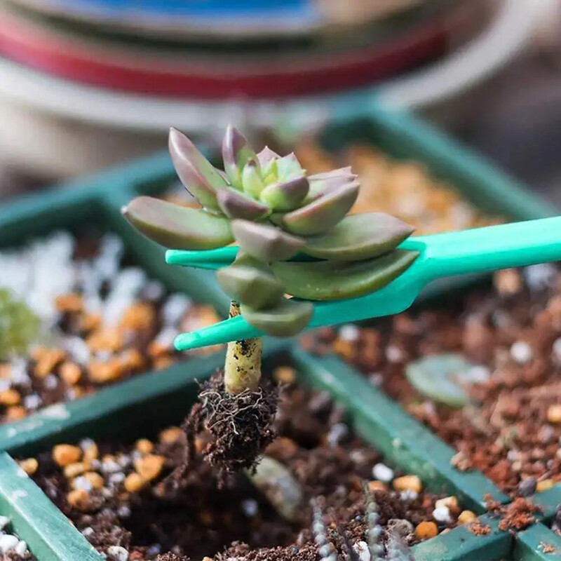 Комплект от 4 бр./комплект Мини сеялка и инструмент за миграция на растения Инструменти за отглеждане на разсад за разсадници Градинарство Пресаждане Инструмент за засаждане