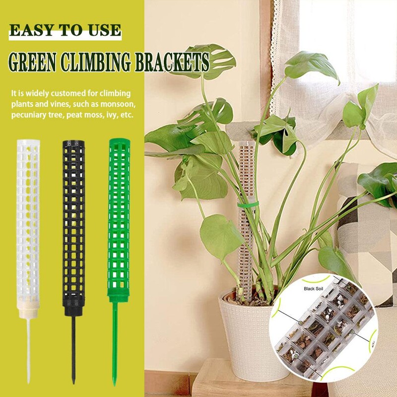 Височина на колоната за катерене от воден мъх 25 см Подкрепа за растеж на мъх Оформяне на растения Кокосово кафяво зелено Колона от ананас Градински консумативи