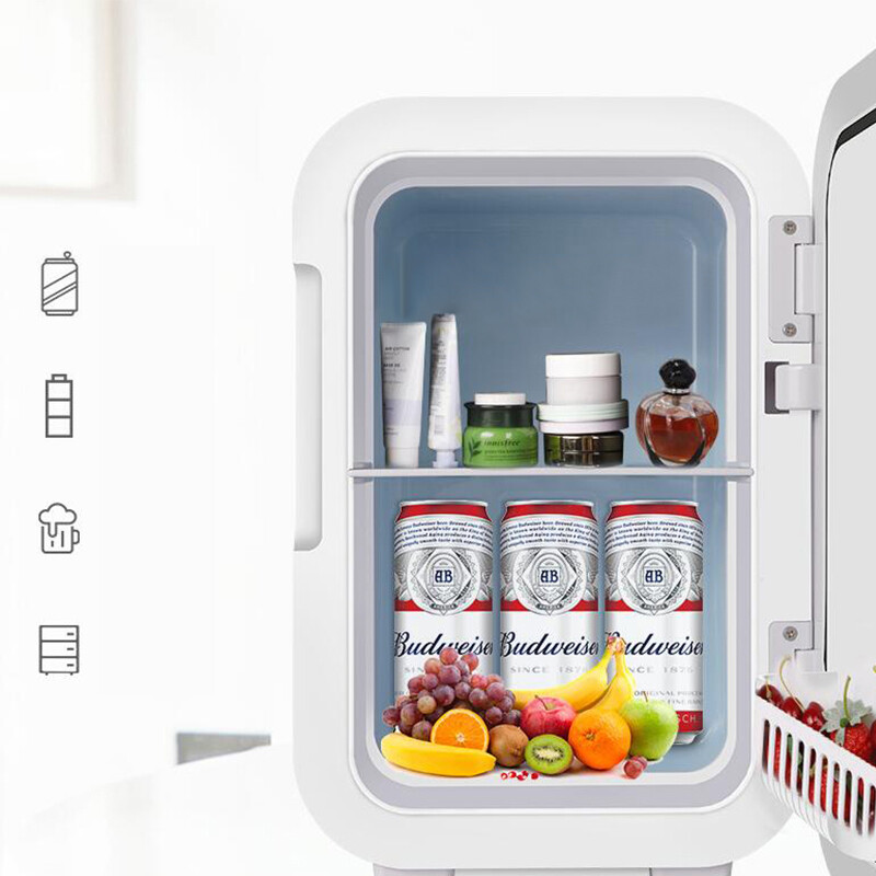 6L Mini hladnjak Prijenosni mali hladnjak Šminka Hladnjak za njegu kože Hladnjak Za dom Kuhinja Kampiranje Vožnja čamcem Auto Hladnjak 12V 220V EU