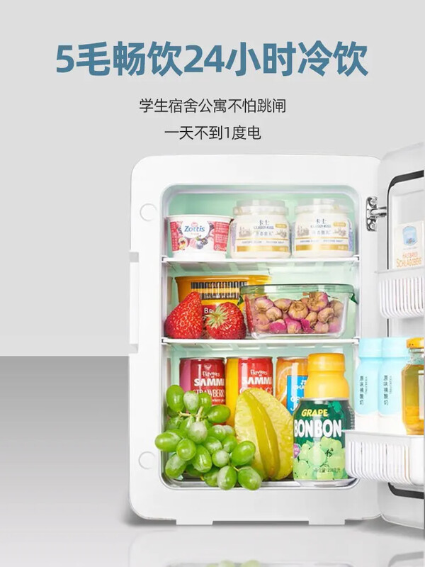 Mini hladnjak mini hladnjak auto kuća za jednu osobu mali studentski dom majčino mlijeko Ured za uljepšavanje