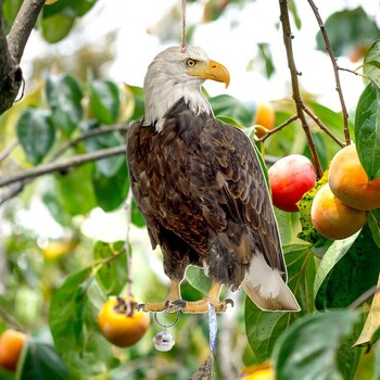 Bird Repel Scarecrow Durable Owl Scarer Pendant Камбанка за отблъскване на птици Pastoral Orchard Bird Scare Home Supp Домашен доставчик