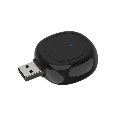 Απωθητικό κουνουπιών USB φορητό ηλεκτρικό πλαστικό εσωτερικού χώρου εξωτερικού αυτοκινήτου Καταπολέμηση παρασίτων μακράς διαρκείας κατά του θυμιάματος απωθητικό μύγας