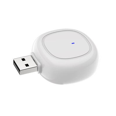 Απωθητικό κουνουπιών USB φορητό ηλεκτρικό πλαστικό εσωτερικού χώρου εξωτερικού αυτοκινήτου Καταπολέμηση παρασίτων μακράς διαρκείας κατά του θυμιάματος απωθητικό μύγας