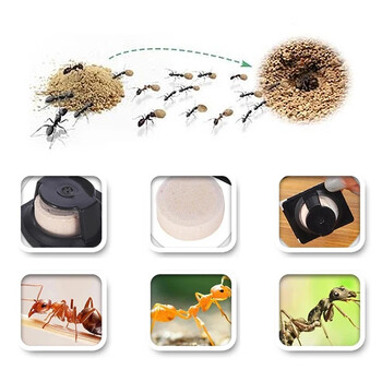 6Pcs Ant Agent Bait Ant Pest Killing Powder Pest Control Destroy Ants Repellent Repeller Kill Baits Garden Home