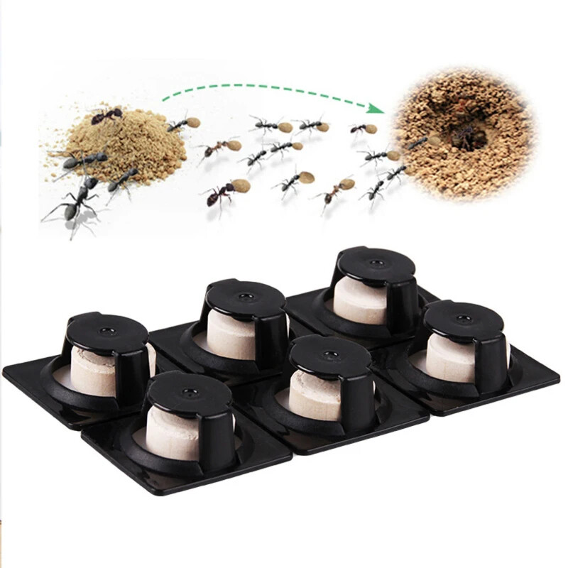 6 tk sipelgaagent sööt Sipelgakahjurite tapmispulber Kahjuritõrje Hävitage sipelgaid tõrjuv tõrjevahend Tapmissöödad Aed Kodu