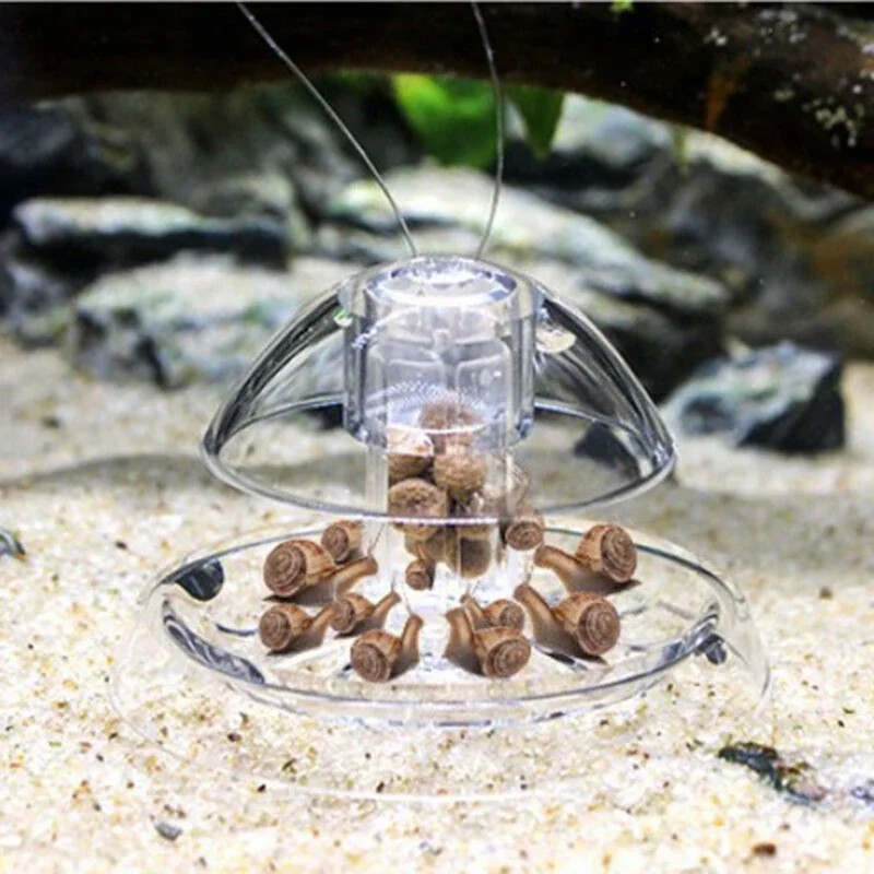 Snail Trap Catcher Аквариумни рибки Резервоар за растения Пластмасова прозрачна кутия за улов на вредители Leech Околна среда Растения Planarian Cleaner Инструменти