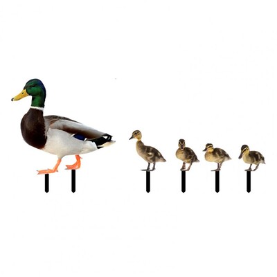 5 бр./компл. Градински колове за патици Двустранен знак за двор Duckling Yards Художествена фигура на животно Акрилни колове за домашни птици Животни Тревата на открито